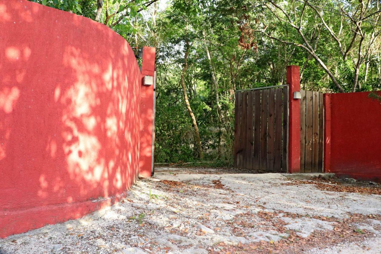 Casa Del Bosque קנקון מראה חיצוני תמונה